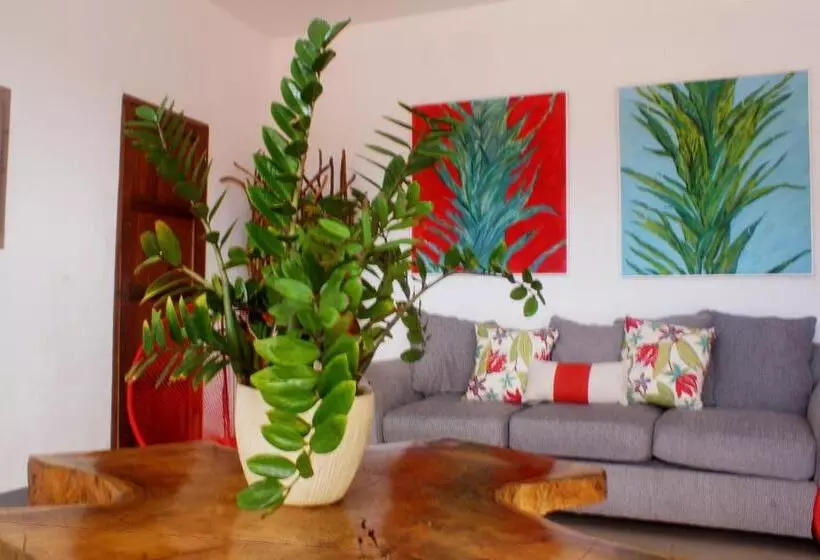 Terraza Catedral Hostel