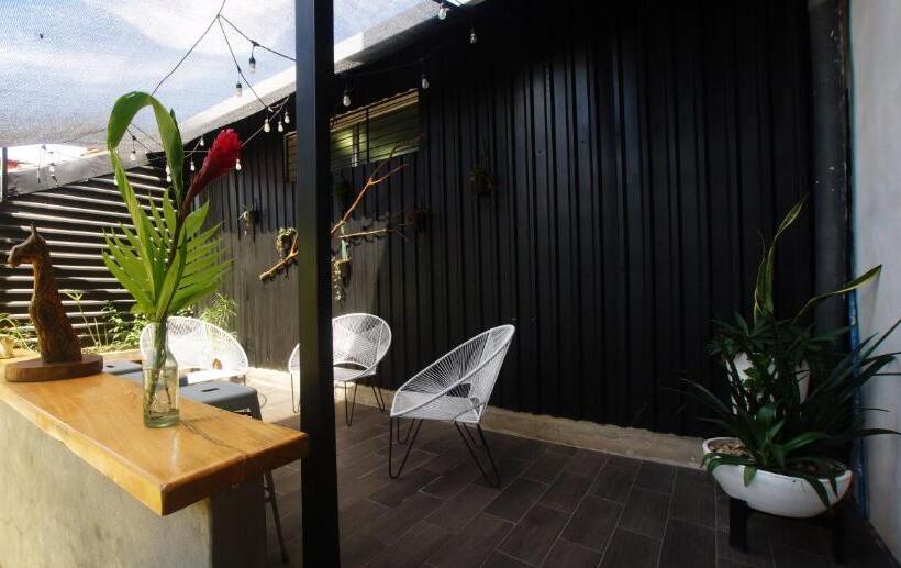 Terraza Catedral Hostel