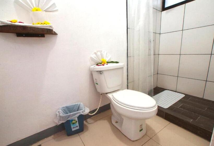 Terraza Catedral Hostel