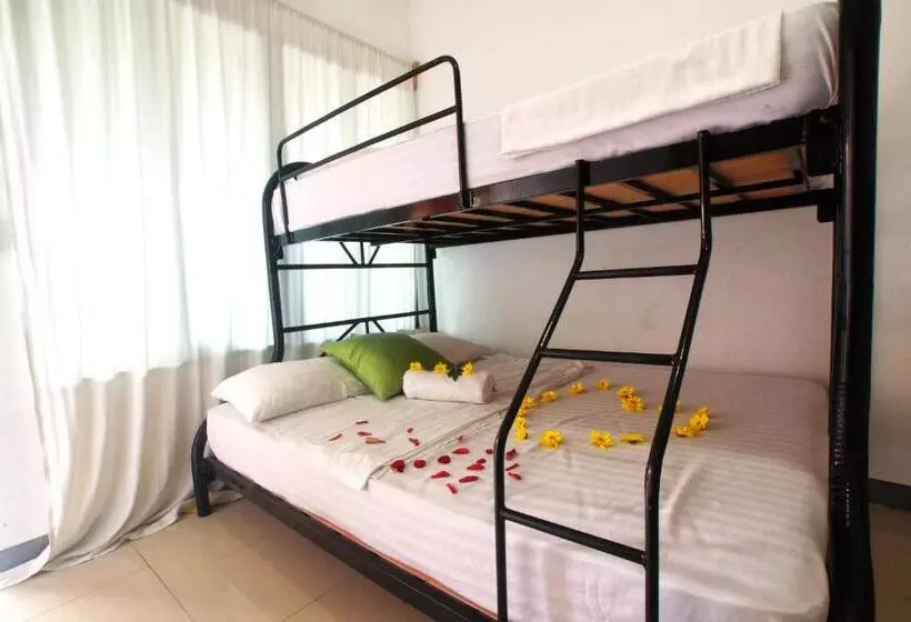 Terraza Catedral Hostel