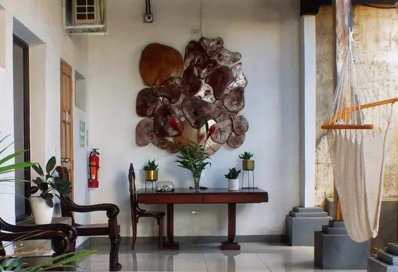 Terraza Catedral Hostel