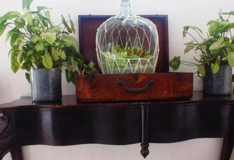 Terraza Catedral Hostel