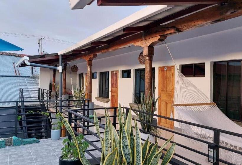 Terraza Catedral Hostel