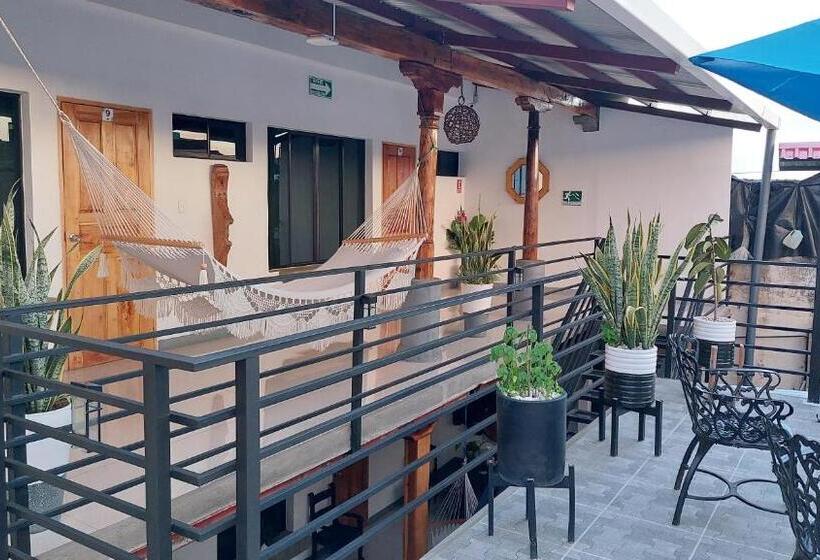 Terraza Catedral Hostel