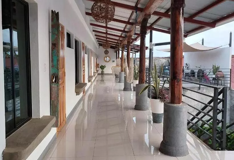 Terraza Catedral Hostel