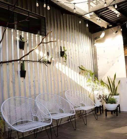 Terraza Catedral Hostel