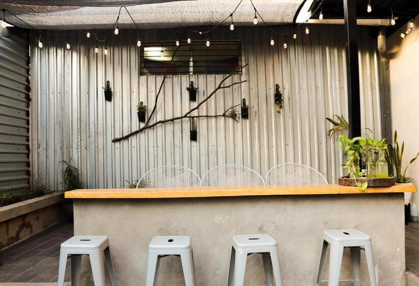 Terraza Catedral Hostel