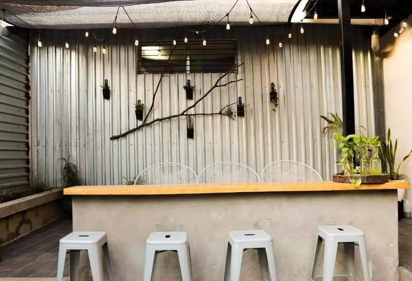 Terraza Catedral Hostel