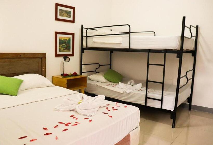 Terraza Catedral Hostel