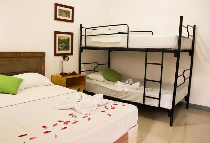 Terraza Catedral Hostel