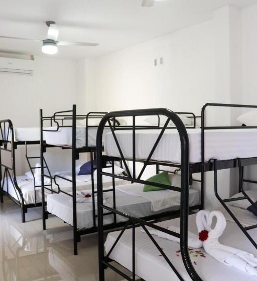 Terraza Catedral Hostel