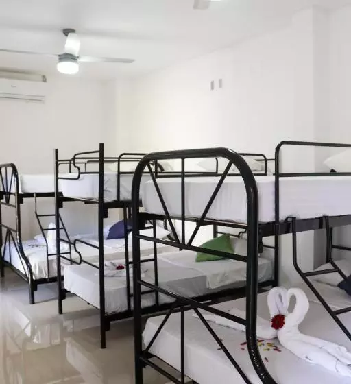 Terraza Catedral Hostel