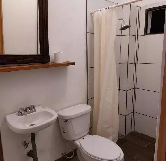 Terraza Catedral Hostel