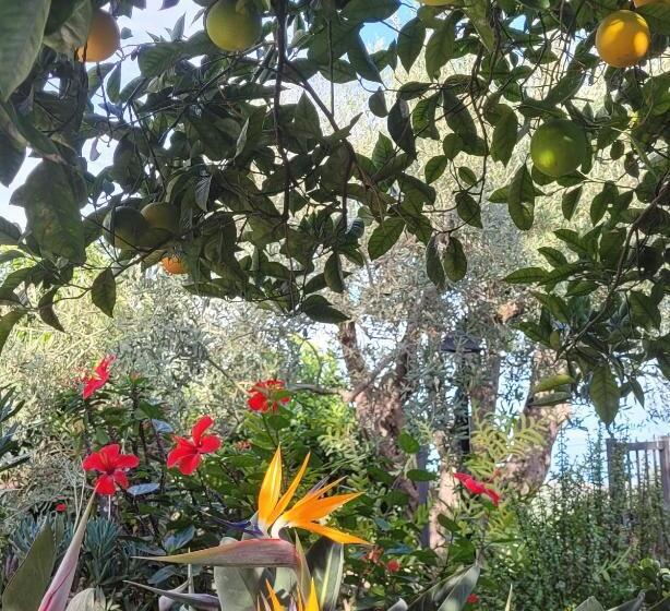 ベッドアンドブレックファースト Timpabella House