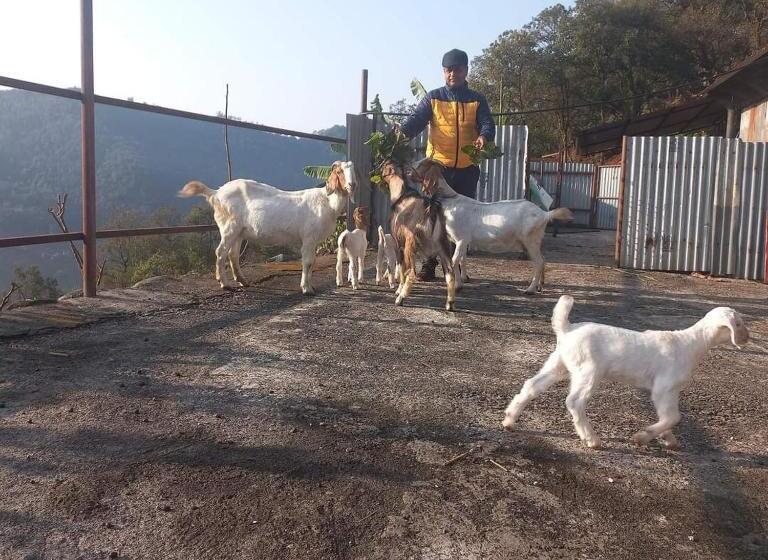 هتل Paarc , Nepal