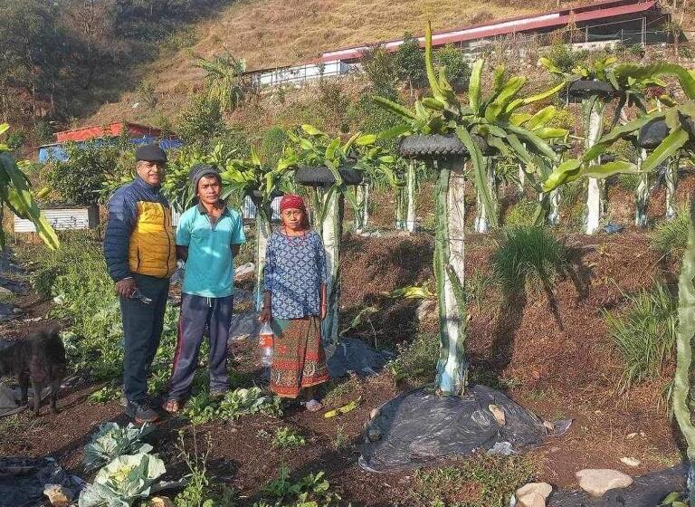 هتل Paarc , Nepal