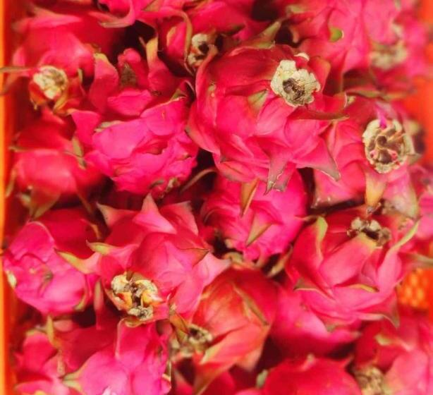 هتل Paarc , Nepal