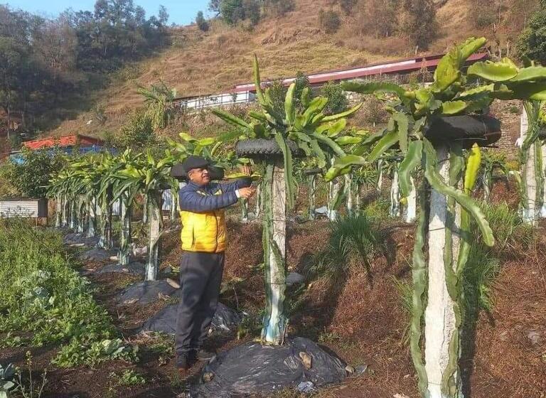 هتل Paarc , Nepal