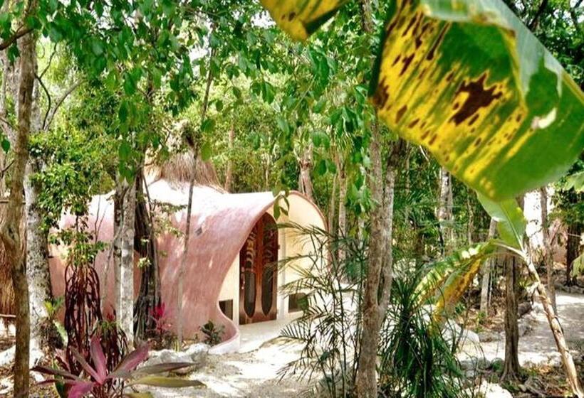 بنسيون Room In Lodge Eco Luxe Mayan Dome Cenote