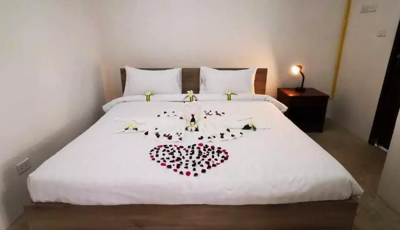 Bbvc Hostel   Collegestay