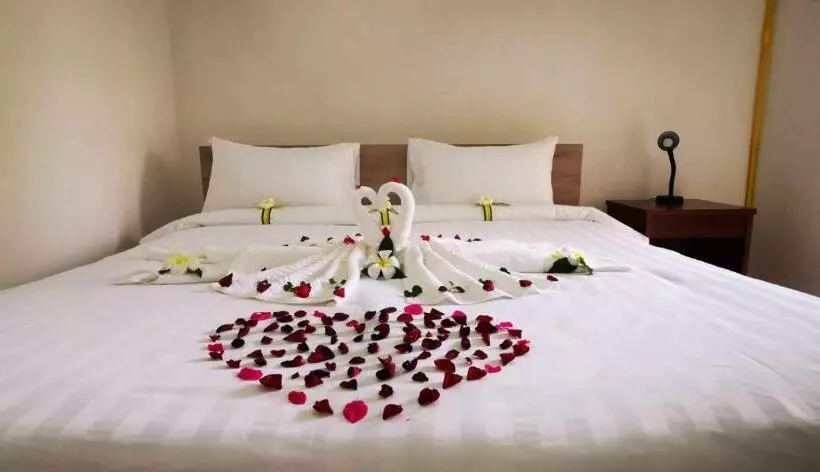 Bbvc Hostel   Collegestay