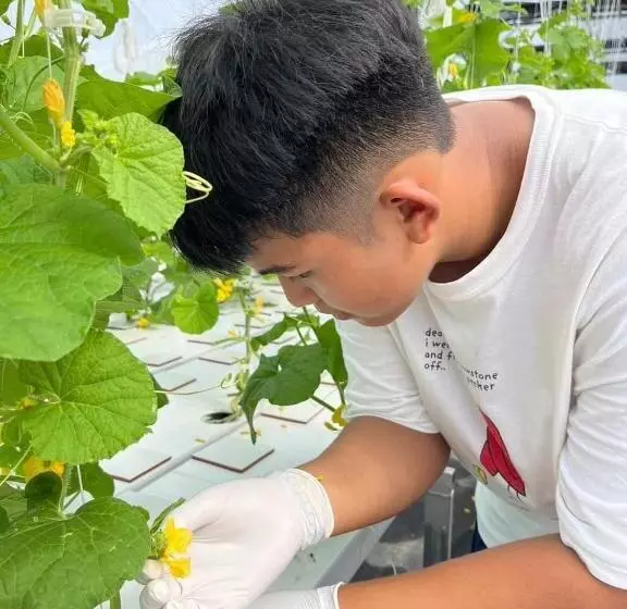 Bbvc Hostel   Collegestay