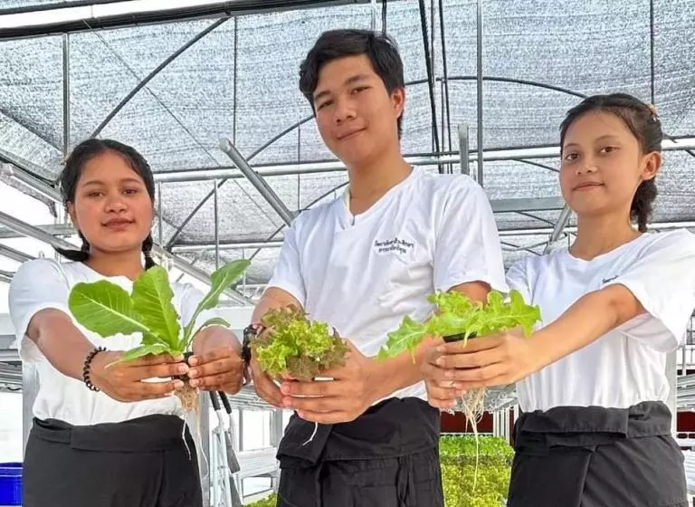 Bbvc Hostel   Collegestay