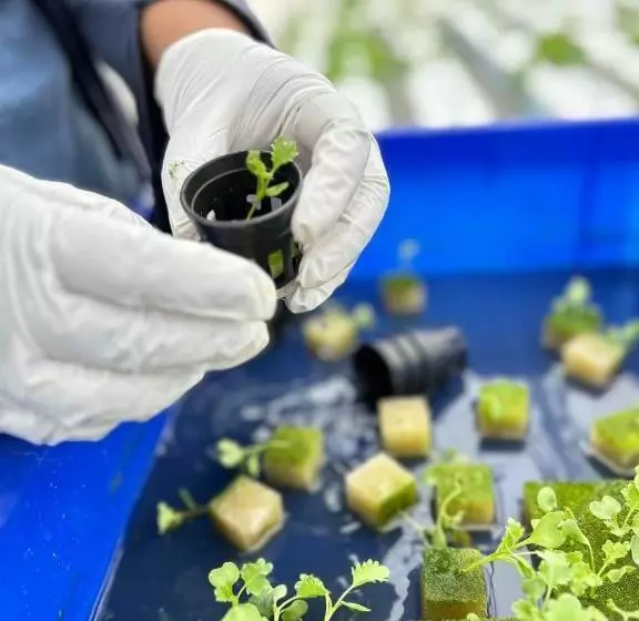 Bbvc Hostel   Collegestay