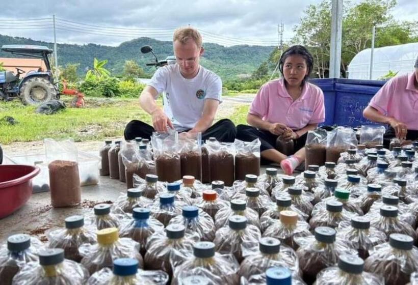 Bbvc Hostel   Collegestay