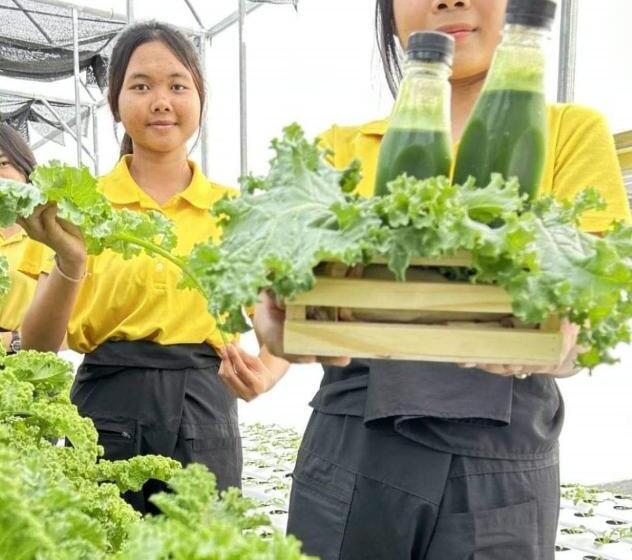 Bbvc Hostel   Collegestay