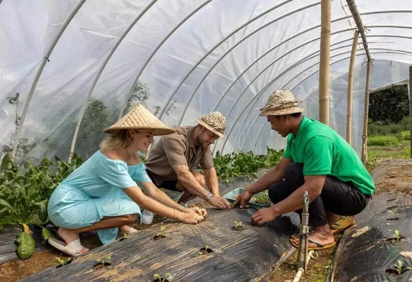 ホテル Munduk Tentrem Resort