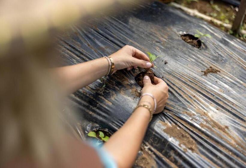 Отель Munduk Tentrem Resort