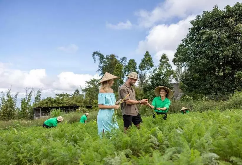 ホテル Munduk Tentrem Resort