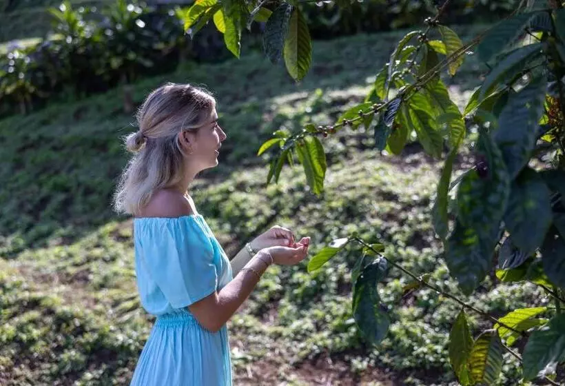 ホテル Munduk Tentrem Resort