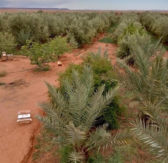 Pensão Café Sahara Restaurant