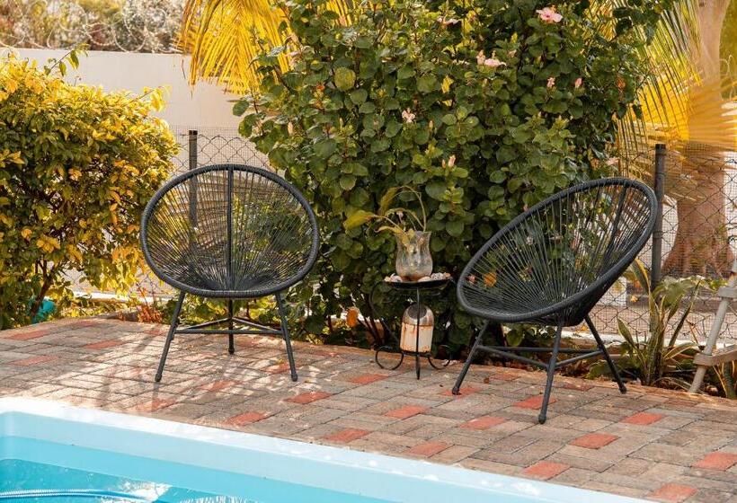 پانسیون Studio B