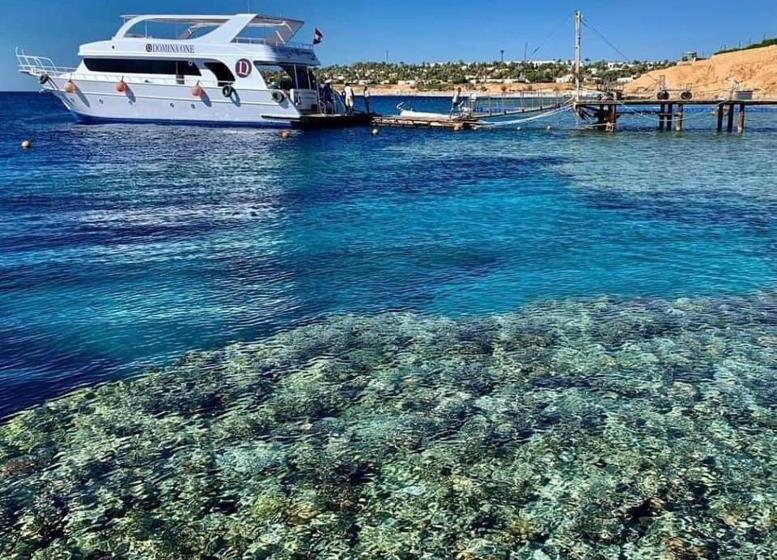 Camera Aqua Marin Centralissima