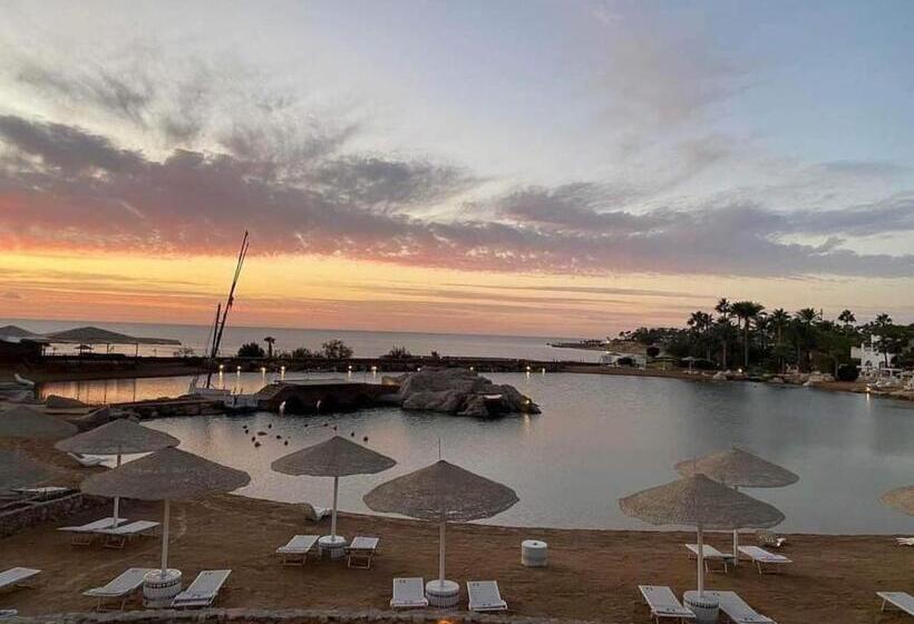 Camera Aqua Marin Centralissima