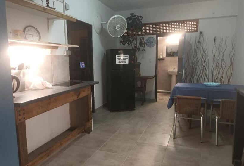 هتل کپسول Shrimpy S Waterfront Hostel And Crew Quarters