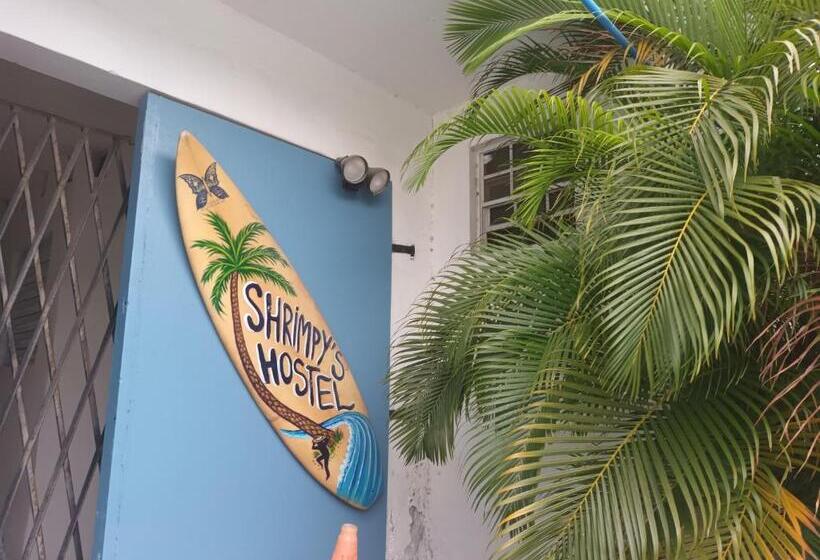 هتل کپسول Shrimpy S Waterfront Hostel And Crew Quarters
