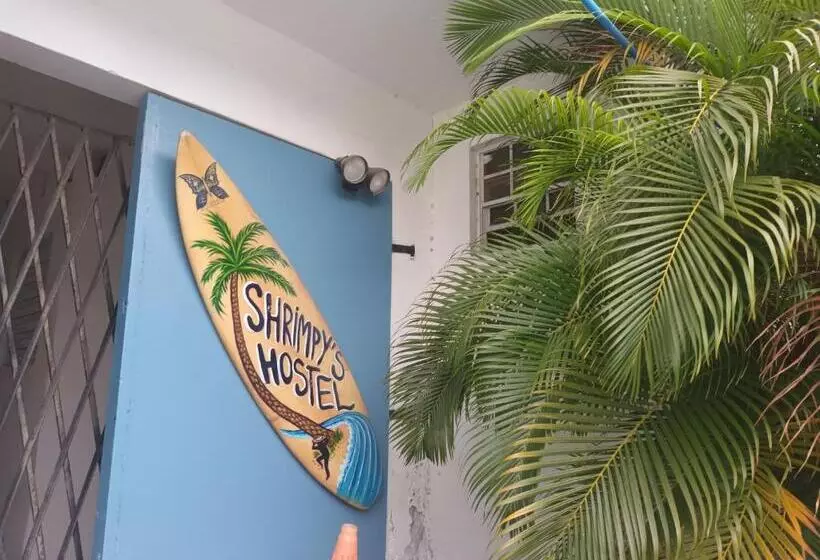 هتل کپسول Shrimpy S Waterfront Hostel And Crew Quarters
