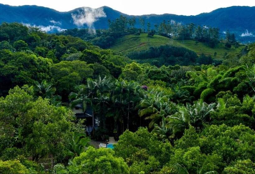 Отель Suíte Alvenaria Casal