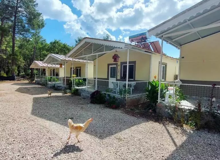 Olympos Yörük Otaği Apart Evleri̇