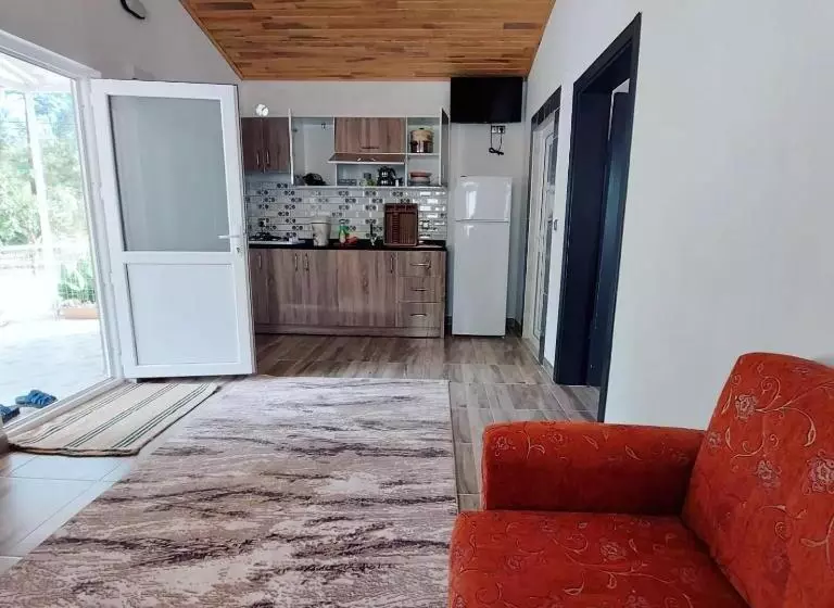 Olympos Yörük Otaği Apart Evleri̇