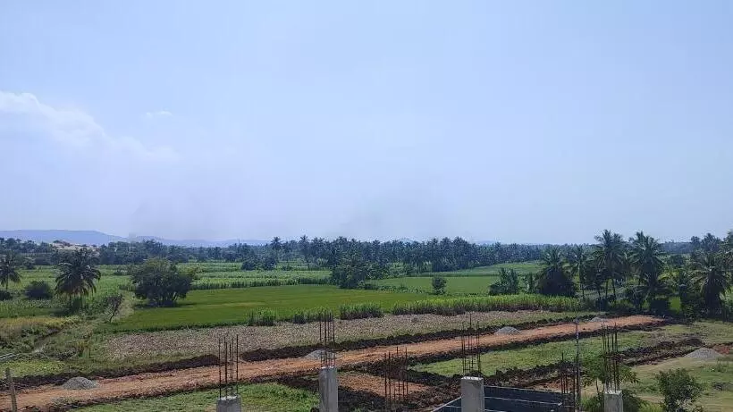 Majatalo Mamatha Guest Inn