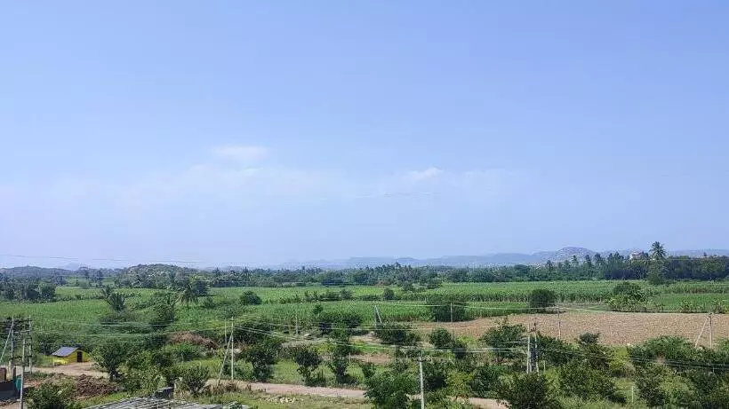 Majatalo Mamatha Guest Inn