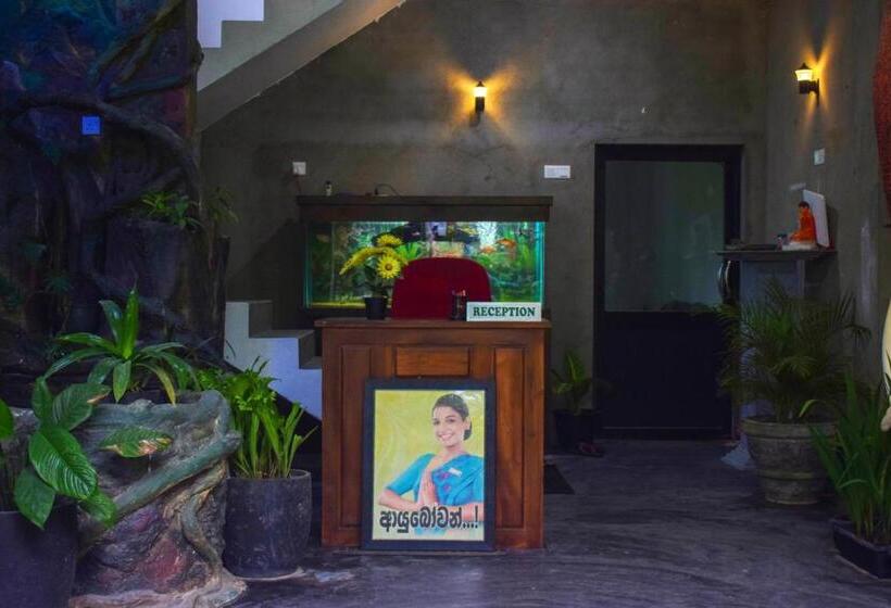 Pension Samara Guest Inn