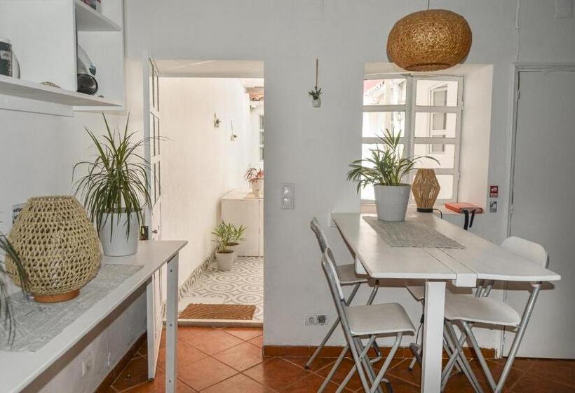 پانسیون Shared Apartment With Bright Private Patio In Lisboa