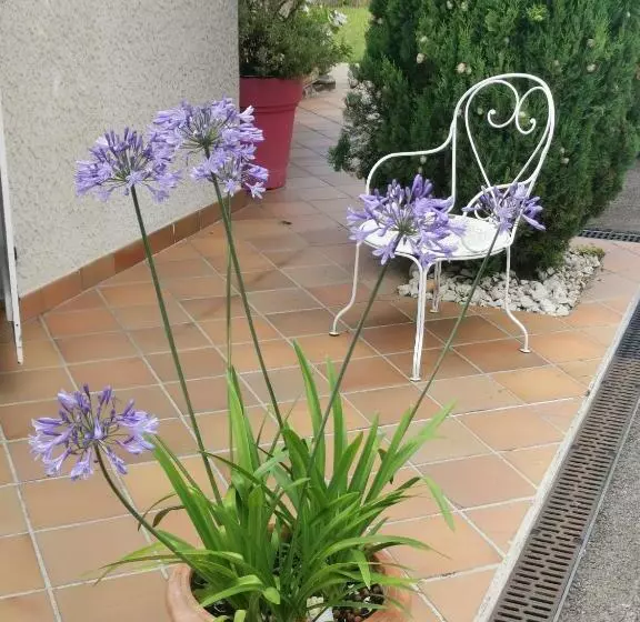 Aamiaismajoitus (B&B) La Moderne