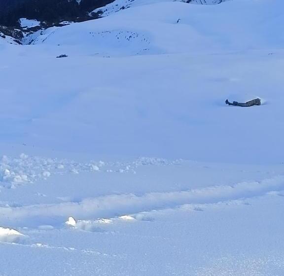 Chopta House Hotel And Restaurant